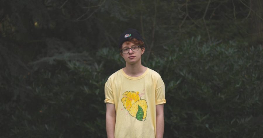 Cavetown (Robin Skinner)