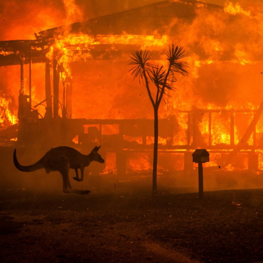 Fires in Australia