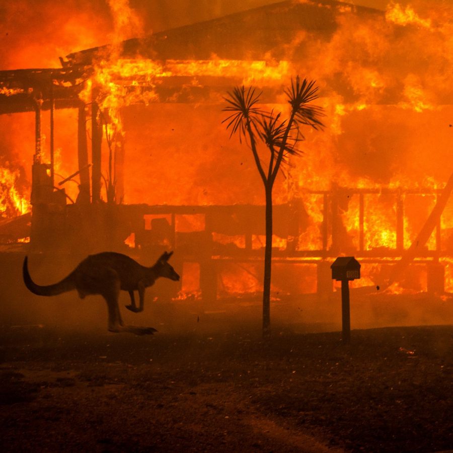 Fires+in+Australia