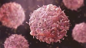 Cancer patients reach milestones