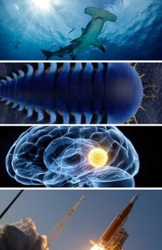 Revealing new discoveries this week in science